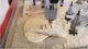 Carve a Guitar Body with OMNI CNC Router